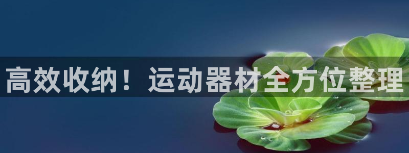 球速体育QsTY官网下载平台假的吗是真的吗吗:高效收纳!运动