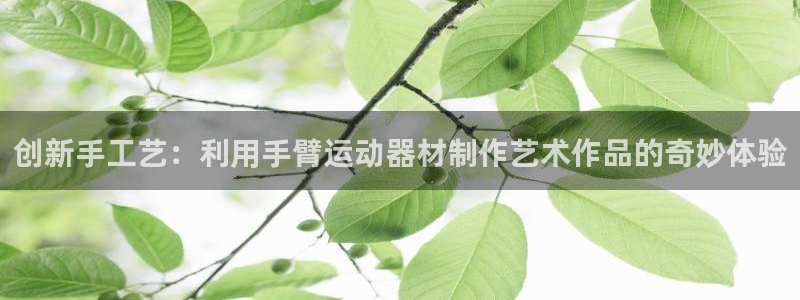 球速体育QsTY官网下载平台注册流程视频:创新手工艺:利用手