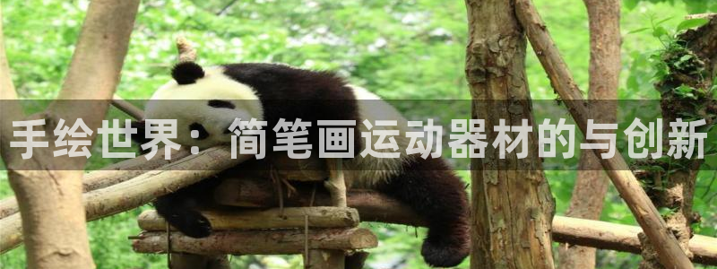 球速体育QsTY官网下载平台注册流程视频:手绘世界:简笔画运