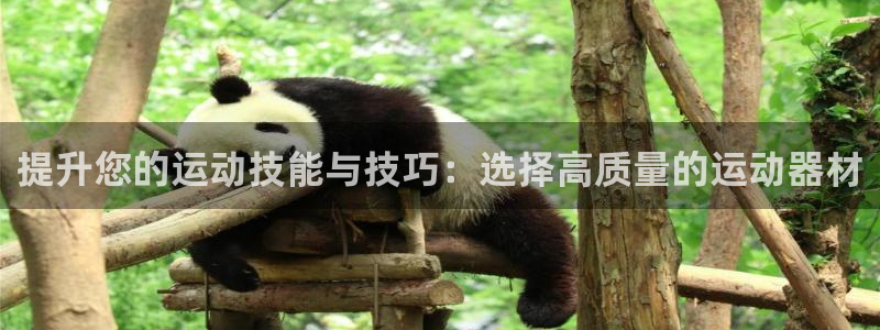 球速体育QsTY官方正版app娱乐是那个系列的台子:提升您的