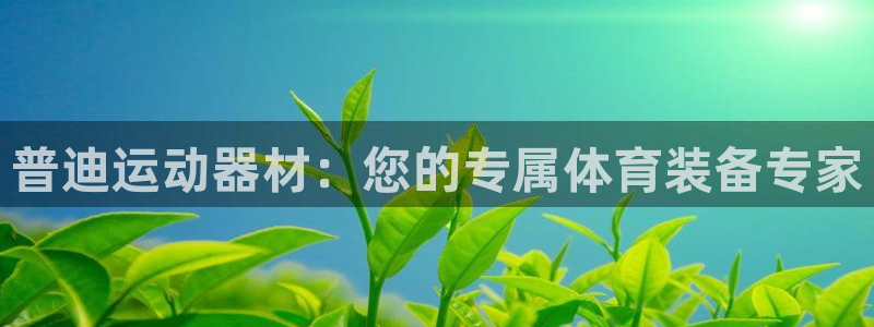 球速体育QsTY官网下载招商电话:普迪运动器材:您的专属体育